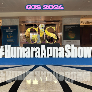 iijs 2024 - 15