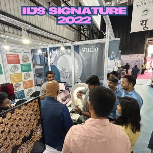 iijs 2024 - 14