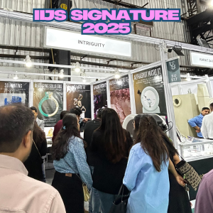 iijs 2024 - 4
