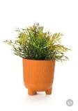 flower-pot-orange-360