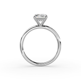 Untitled design - 17